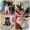 Manta para gatos cómoda y relajante