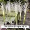 Lámpara de fibra óptica de caña [Luces solares para jardín exterior]