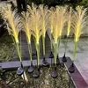 Lámpara de fibra óptica de caña [Luces solares para jardín exterior]