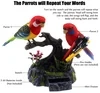 Juguetes para pájaros loros parlantes