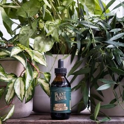 Plant Runner - Fertilizante para plantas de interior