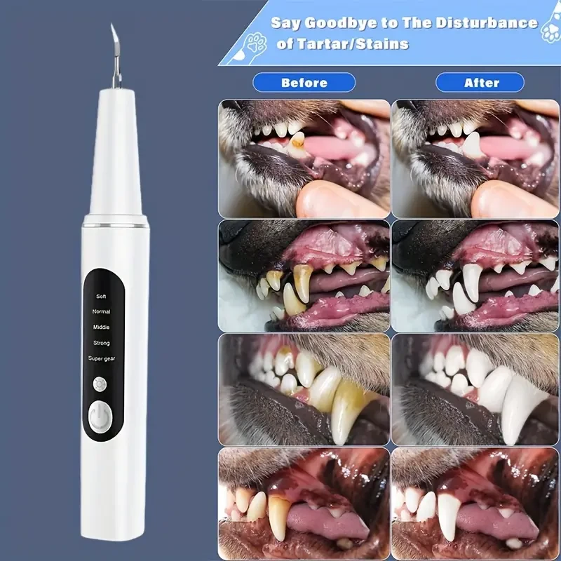 Limpiador de dientes eléctrico para mascotas con 4 modos para eliminar manchas y cálculos dentales
