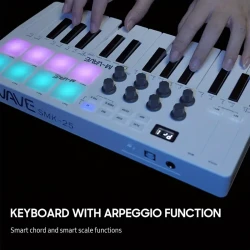 Teclado MIDI de 25 teclas, miniteclado USB portátil, controlador MIDI con 25 teclas sensibles a la velocidad, 8 pads retroiluminados RGB, 8 perillas Eid Al-Adha Mubarak