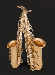 Saxofón alto profesional Xinmel en mi bemol - Latón clásico con acabado pulido. Incluye estuche, cañas y kit de limpieza para principiantes.