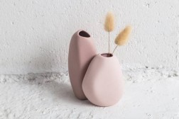 La violeta de Harmie