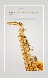 Saxofón alto en mi bemol Sax Saar Ramble para principiantes