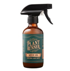 Brillo de hojas con aceite de neem
