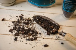 Mezcla orgánica para macetas de aroides