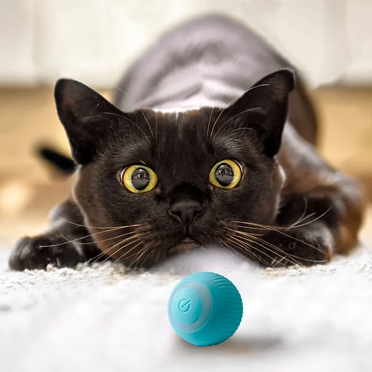 Juguete eléctrico para gatos con forma de pelota