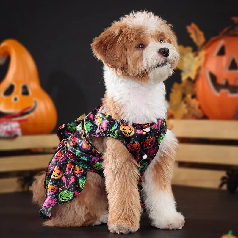 Disfraz de alas de ángel para mascota, ropa de Halloween para perro
