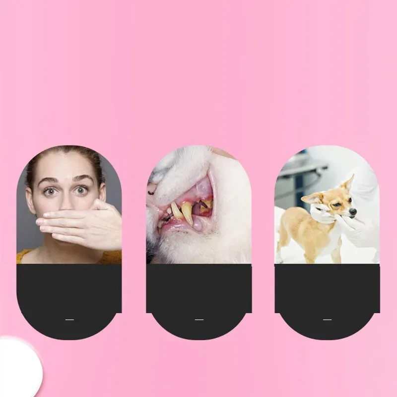 Cepillo de dientes para el cuidado de la limpieza de mascotas