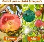 Trampas colgantes ambientales para moscas de la fruta Trampas adhesivas