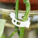Clips de soporte para plantas (100 piezas)