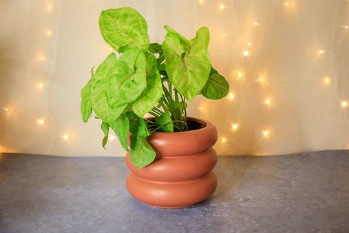 Maceta de tapa curva de Milán