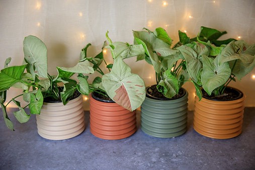 Olla de cubierta de Berlín