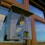 Comedero para pájaros con ventana de arco