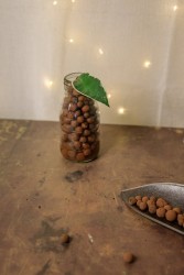 Bolas de arcilla acuática Leca