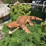 Barco de tiburón a control remoto