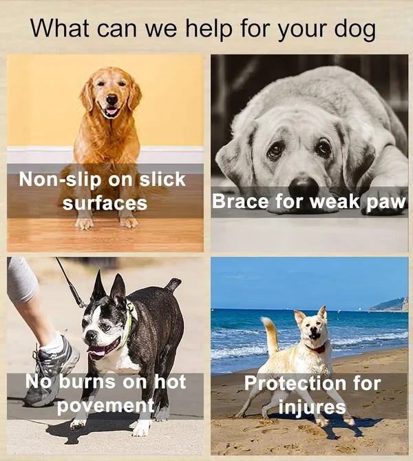Protección para las patas del perro