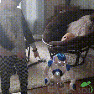 RoboGiggle Kiddo Fun Learn