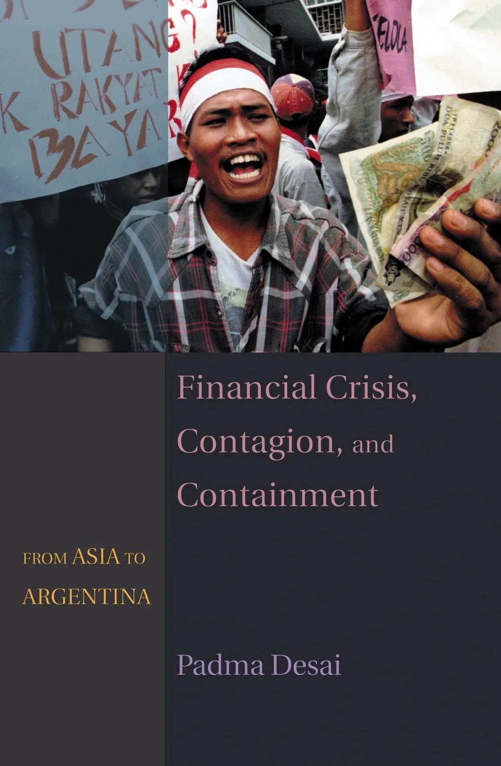 Crisis financiera, contagio y contención
