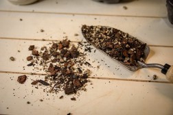 Mezcla orgánica para macetas de plantas de interior