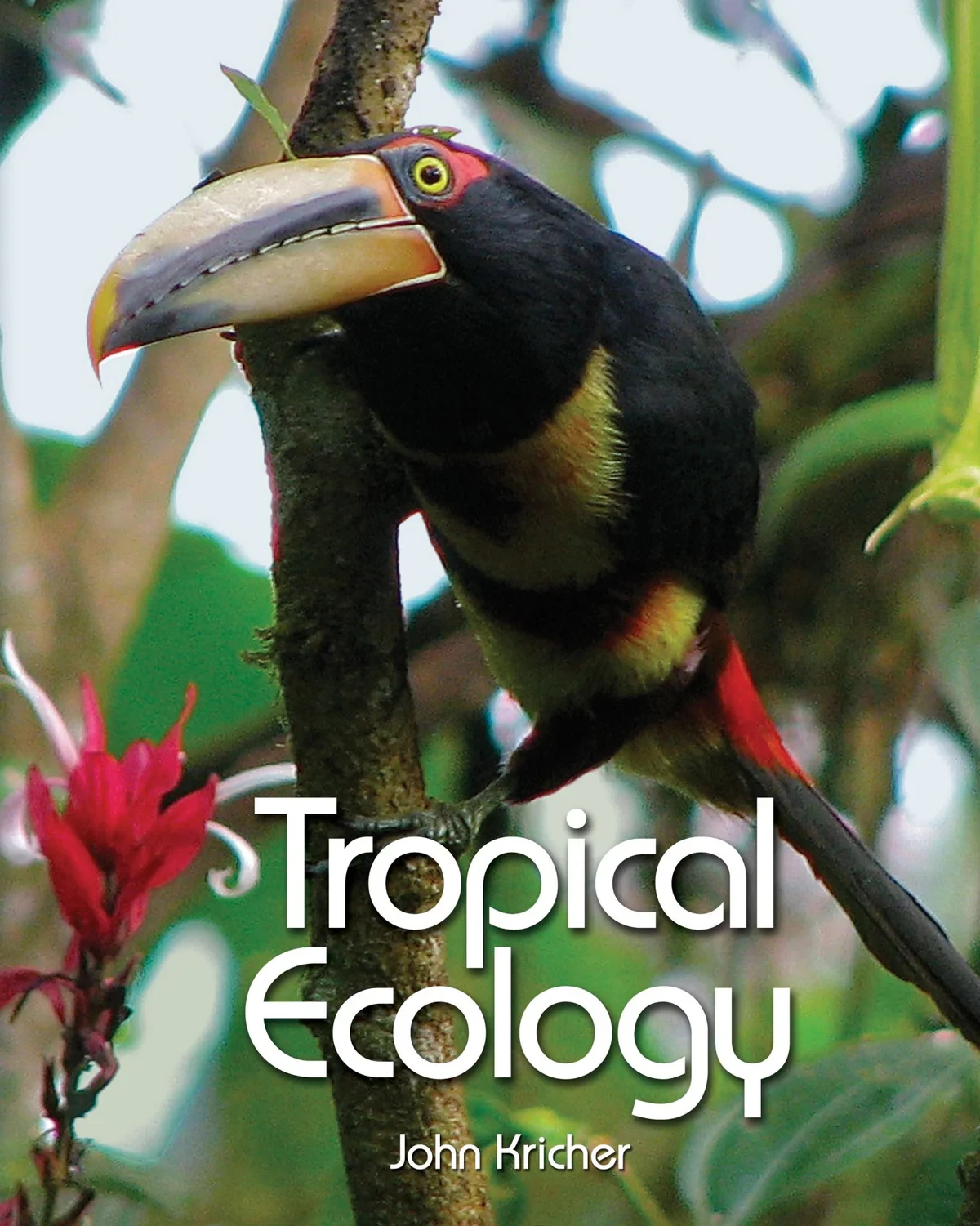 Ecología tropical