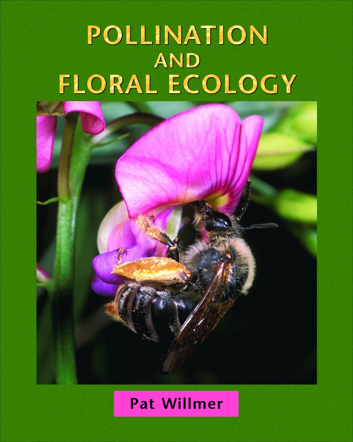 Polinización y ecología floral