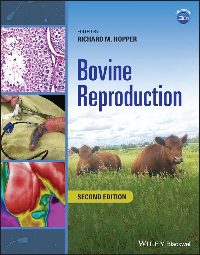 Reproducción bovina