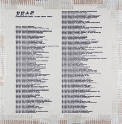 Yang Li y Antoine d'Agata: Demasiado pero no suficiente