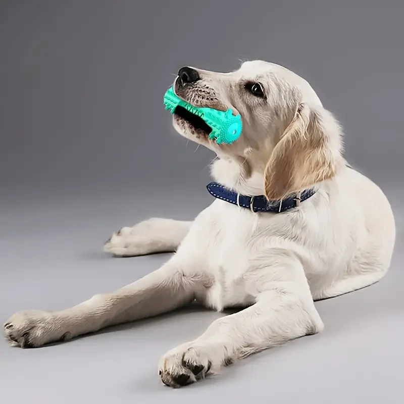 Cepillo de dientes duradero para perros: palo molar y juguete masticable para la salud dental