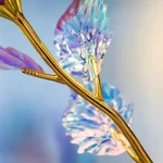 Rosa de edición limitada