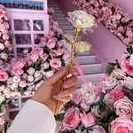 Rosa de edición limitada