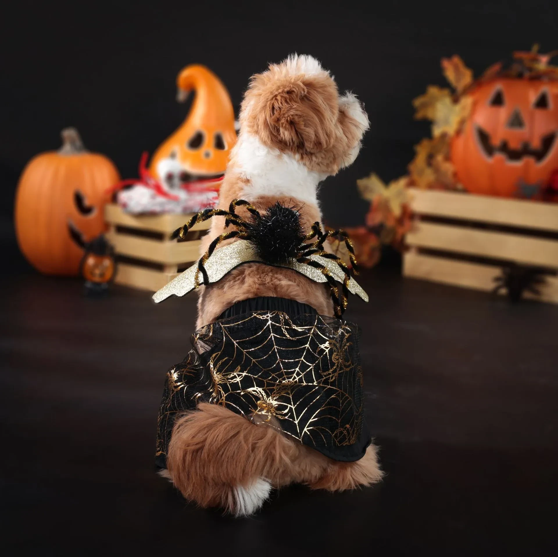 Ropa para mascotas Ropa Fiesta de Halloween Traje de perro