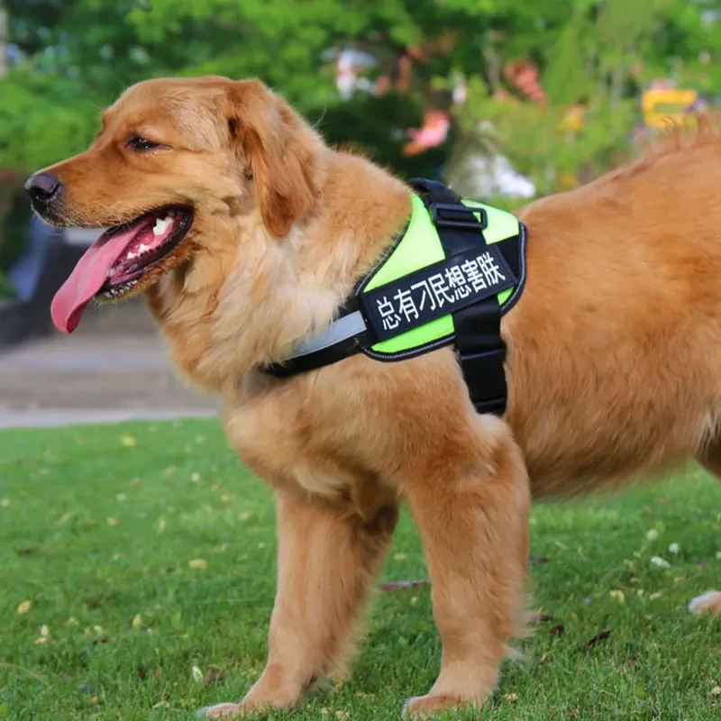 Cuerda de tracción para mascotas, arnés de pecho para mascotas, cadena de cuerda de tracción para perros, cadena de cuerda, suministros para mascotas