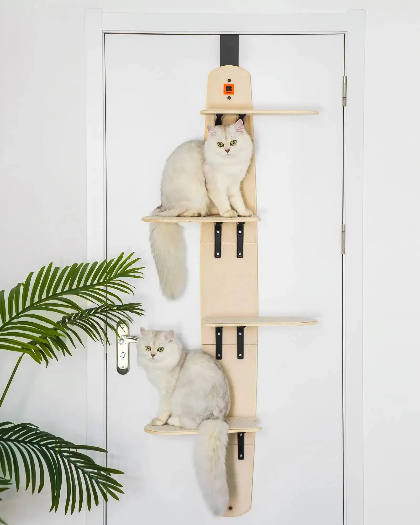 Árbol trepador vertical para gatos Mewoofun - Estantes de 4 niveles montados en la puerta