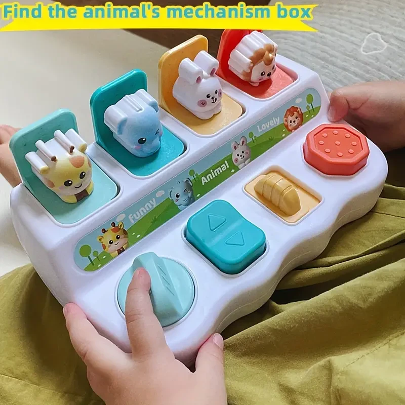 Caja de aprendizaje de animales desplegable: mejora la lógica y la memoria