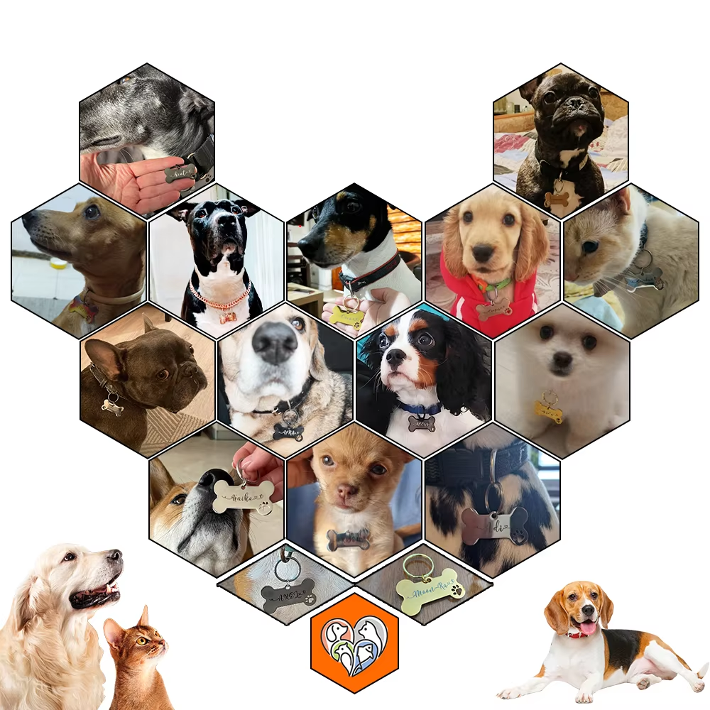 Placa de identificación personalizada para perro, de acero brillante, con grabado gratuito, para cachorros y gatitos, antipérdida, accesorios para mascotas.