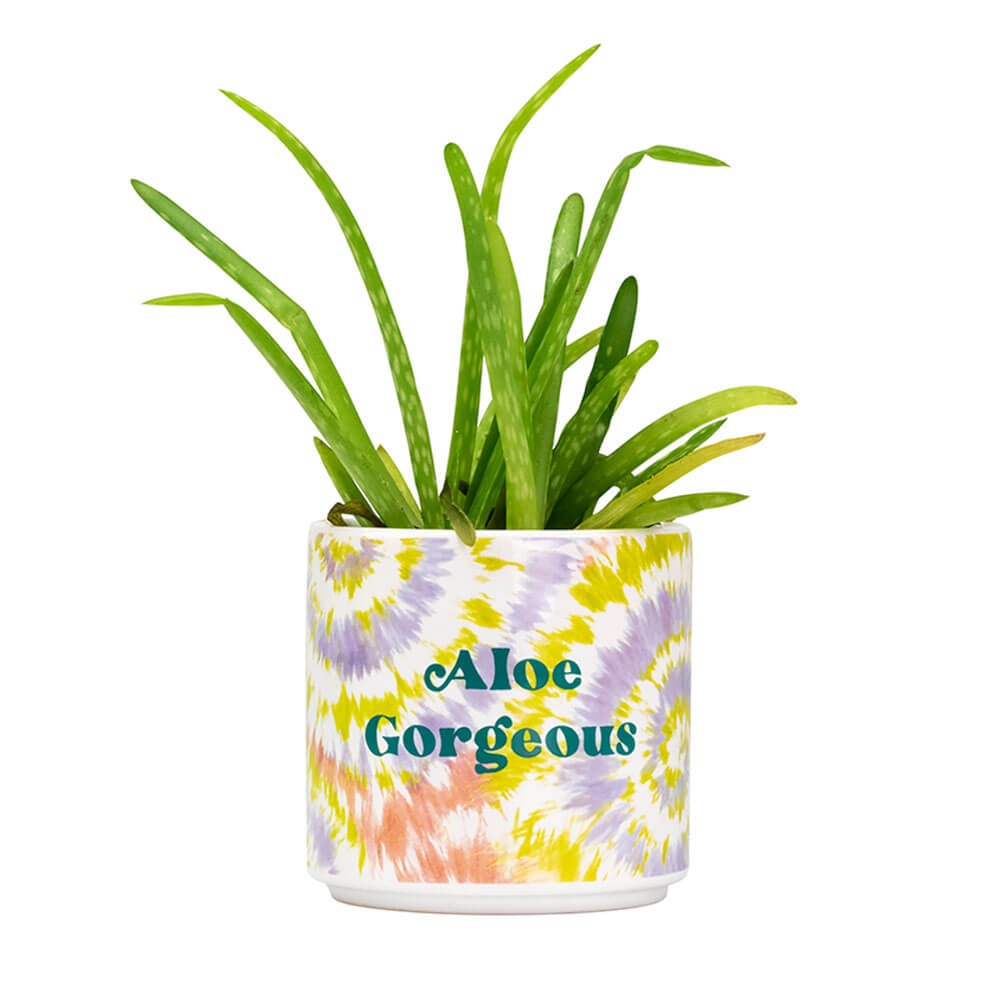 Maceta con efecto tie-dye Aloe Magnífico de Bluerred - Pequeña