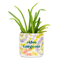 Maceta con efecto tie-dye Aloe Magnífico de Bluerred - Pequeña