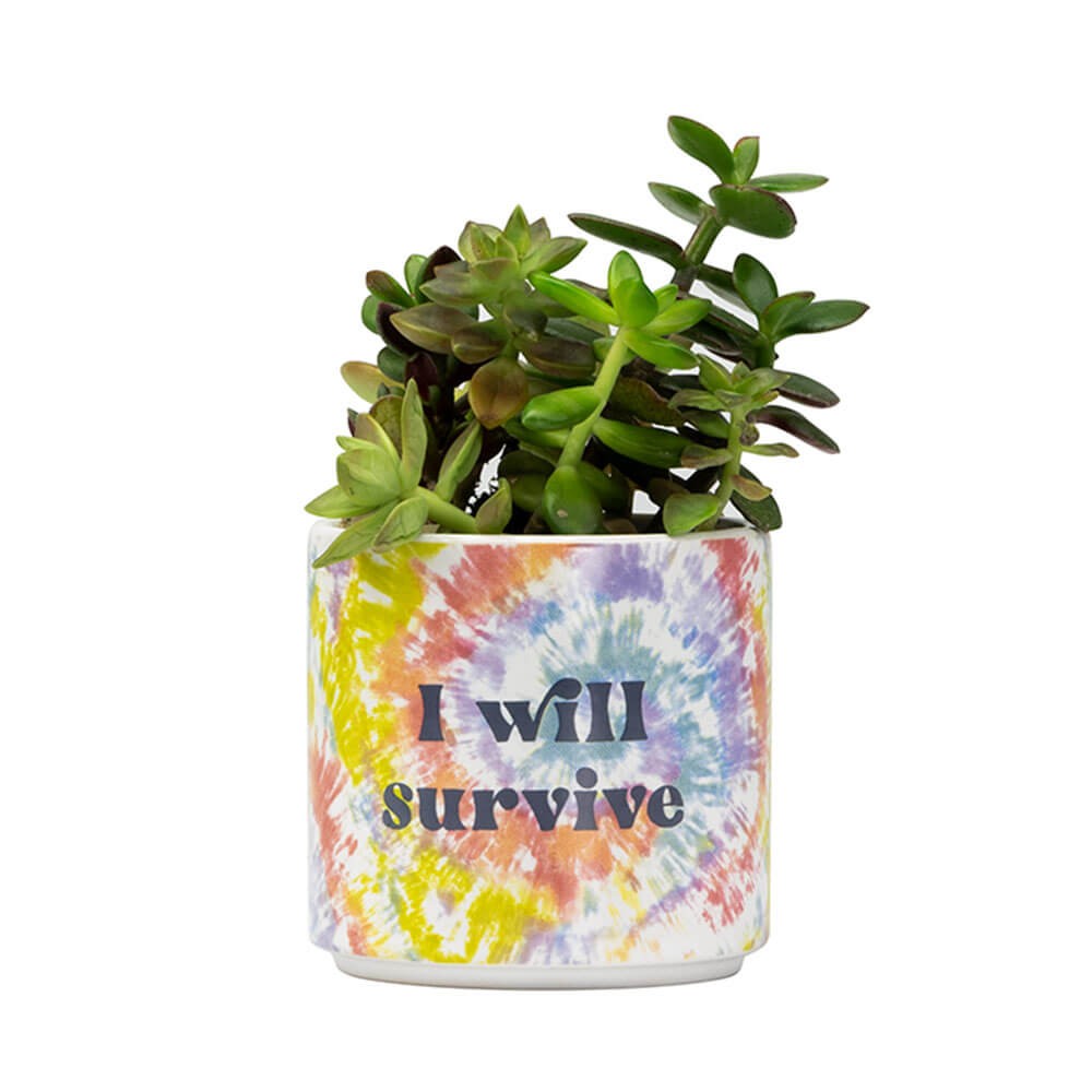 Maceta tie-dye borrosa "I Will Survive" - ​​Pequeña