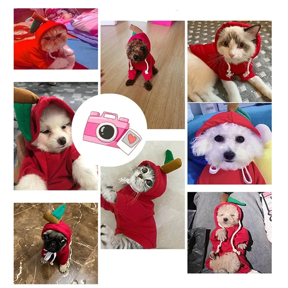 Ropa bonita con diseño de frutas para perros pequeños, sudaderas con capucha, ropa de invierno cálida de forro polar para mascotas, disfraz para cachorros y gatos, abrigo para chihuahua francés.