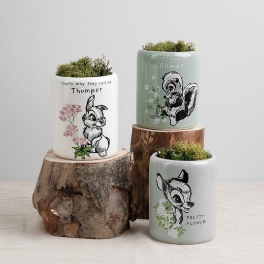 Disney Home: Set de 3 macetas con personajes Forest Friends
