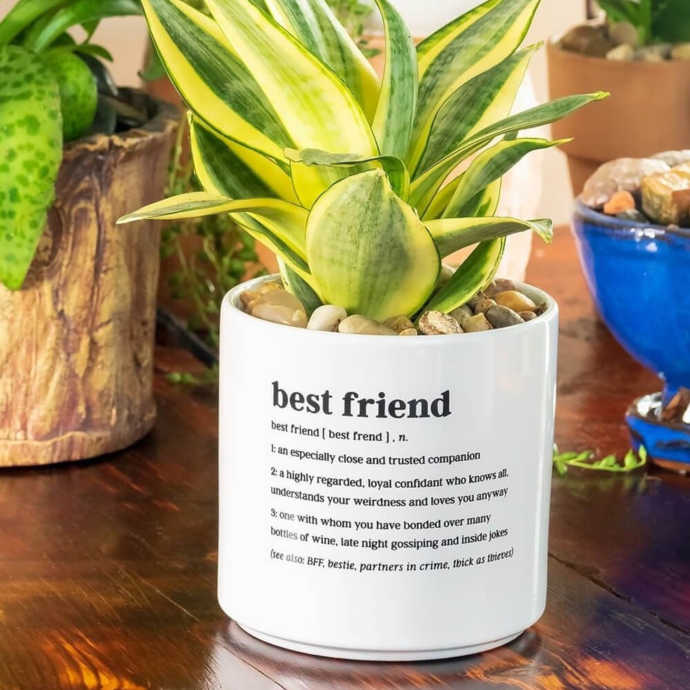 Planter Mejor Amigo Definido
