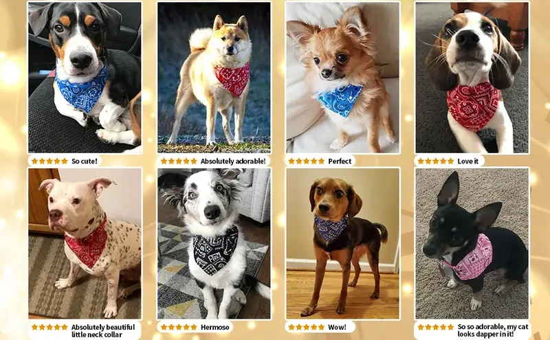 Pañuelos para perros elegantes y cómodos