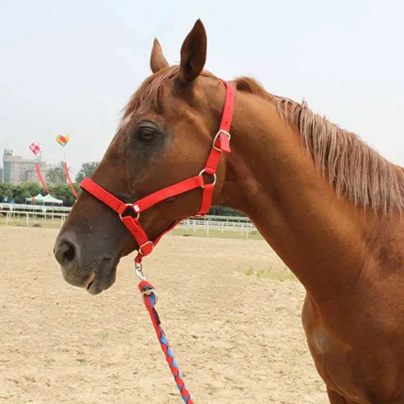 Brida de caballo personalizable