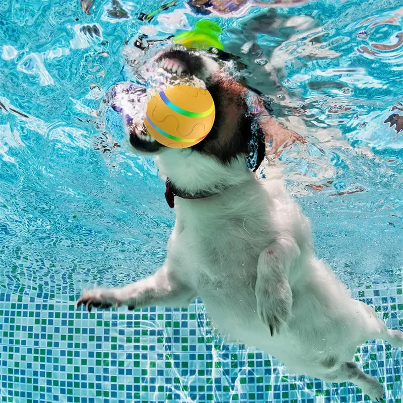 Nuevo juguete de pelota Wicked para gatos