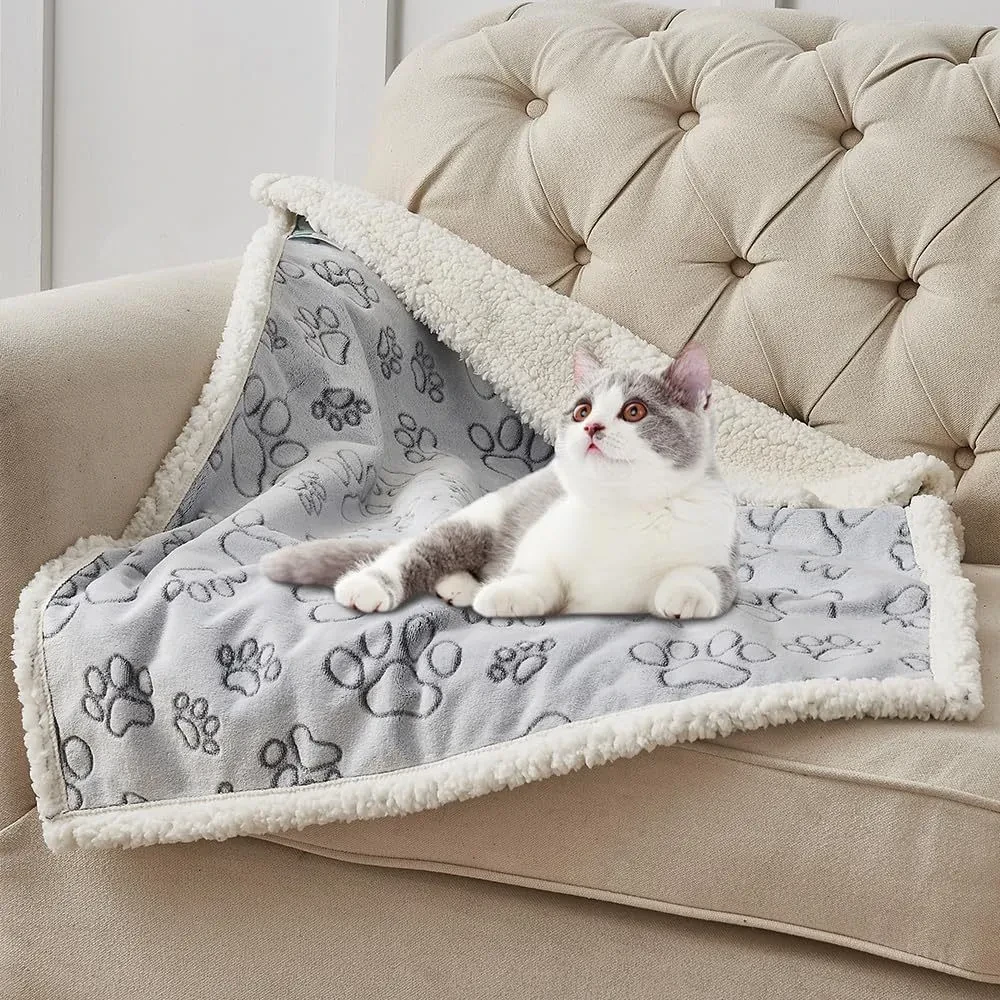 Dog Blanket