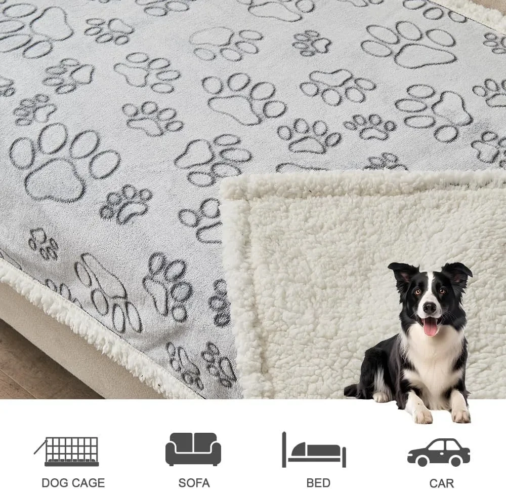 Dog Blanket