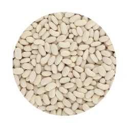 Alubia Cannellini White Beans 1kg